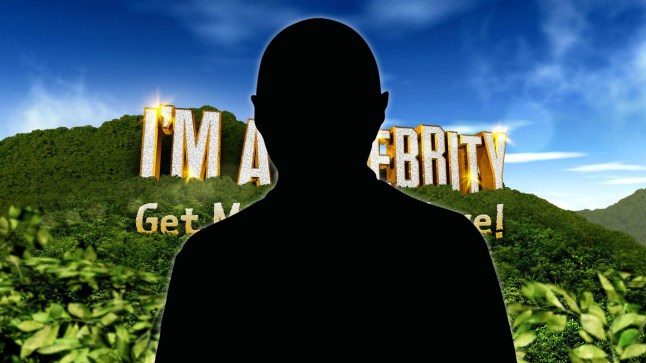 The silhouette of Karl Pilkington over an I'm A Celebrity background