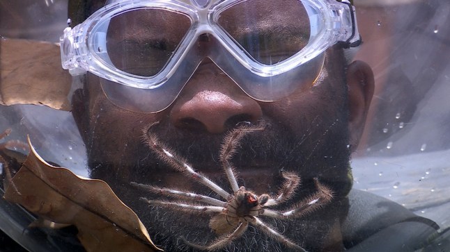 Editorial use only Mandatory Credit: Photo by ITV/Shutterstock (14955661e) Bushtucker Trial, Tanks of Torture - Melvin Odoom 'I'm a Celebrity...Get Me Out of Here!' TV show, Series 24, Australia - 29 Nov 2024