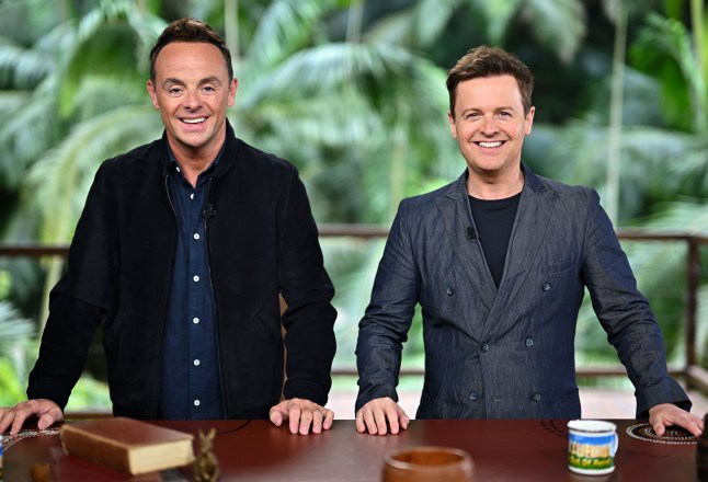 Ant and Dec presenting I'm A Celebrity