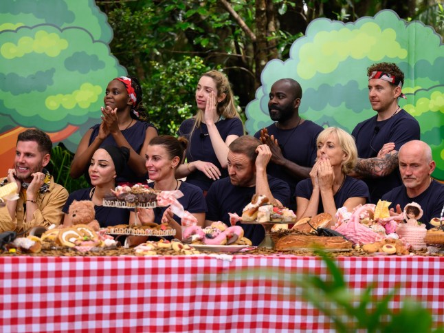 STRICT EMBARGO - NOT FOR USE BEFORE 22:00 GMT, 23 Nov 2024 - EDITORIAL USE ONLY Mandatory Credit: Photo by James Gourley/ITV/Shutterstock (14937606bl) Bushtucker Trial, Terrifying Teddy Bears Picnic - Dean McCullough, Tulisa Contostavlos, Oti Mabuse, Coleen Rooney, GK Barry, Alan Halsall, Melvin Odoom, Jane Moore, Danny Jones and Barry McGuigan 'I'm a Celebrity...Get Me Out of Here!' TV show, Series 24, Australia - 23 Nov 2024