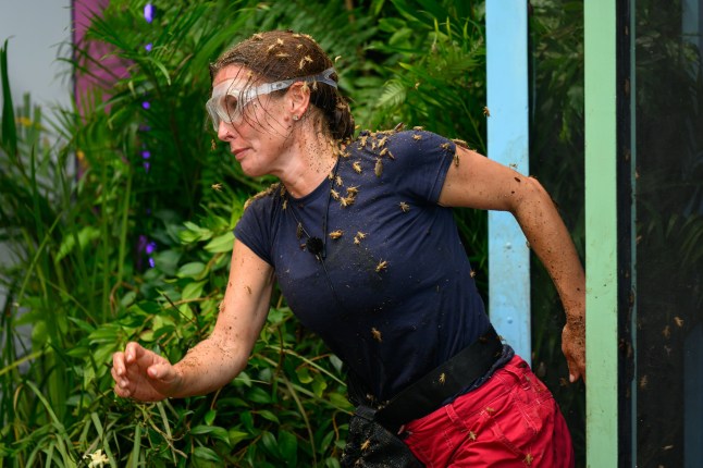 STRICT EMBARGO - NOT FOR USE BEFORE 22:15 GMT, 04 Dec 2024 - EDITORIAL USE ONLY Mandatory Credit: Photo by James Gourley/ITV/Shutterstock (14968131t) Bushtucker Trial, Arcade of Agony - Coleen Rooney 'I'm a Celebrity...Get Me Out of Here!' TV show, Series 24, Australia - 04 Dec 2024