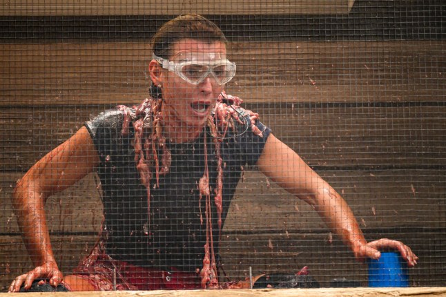 STRICT EMBARGO - NOT FOR USE BEFORE 22:00 GMT, 10 Nov 2024 - EDITORIAL USE ONLY Mandatory Credit: Photo by James Gourley/ITV/Shutterstock (14980929w) Bushtucker Trial, Towers of Terror - Coleen Rooney 'I'm a Celebrity...Get Me Out of Here!' TV show, Series 24, Australia - 08 Dec 2024