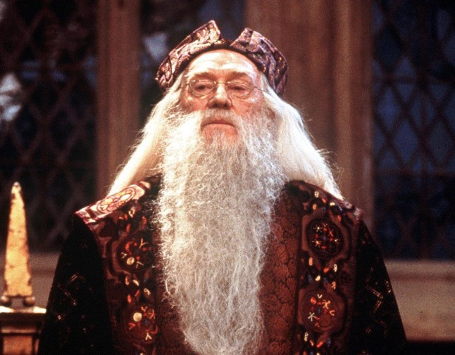 HOLLYWOOD, : This undated file photo shows Irish actor Richard Harris in the role of Professor Dumbledore in the US film "Harry Potter". Harris, 72, who starred in films in a career that spanned more than 40 years, died 25 October 2002 at a London hospital, his family said. AFP PHOTO (Photo credit should read AFP/AFP via Getty Images)