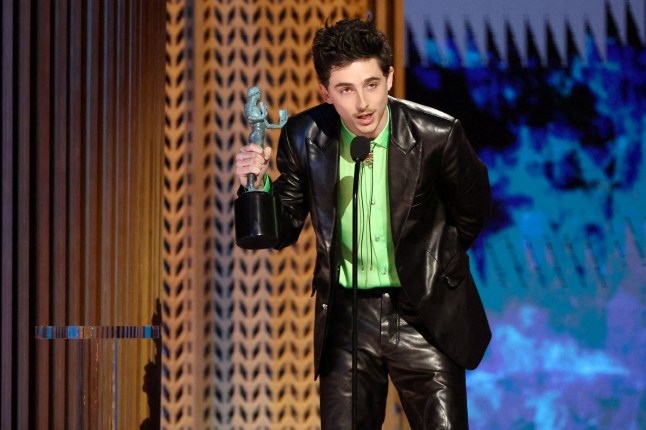 Timothee Chalamet receives the Outstanding Performance by a Male Actor in a Leading Role award