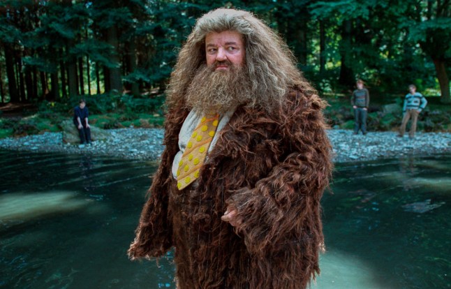 Daniel Radcliffe, Robbie Coltane, Rupert Grint and Emma Watson in Harry Potter and the Prisoner of Azkaban. Robbie is in the foreground as Rubeus Hagrid, standing in water wearing a furry suit.