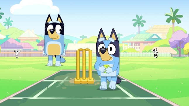 Bluey Episode Images
