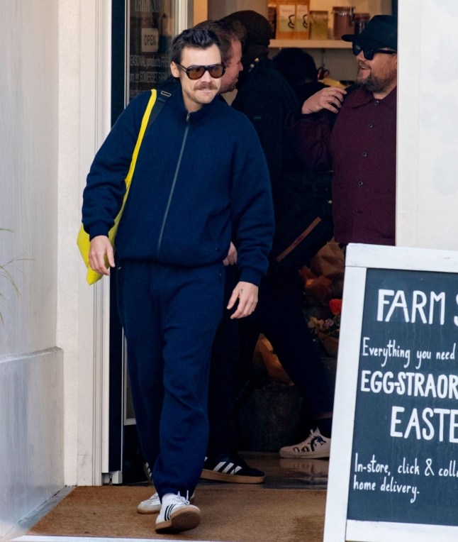 BGUK_3191221 - London, UNITED KINGDOM - *PREMIUM-EXCLUSIVE* - MUST CALL FOR PRICING BEFORE USAGE - STRICTLY NOT AVAILABLE UK MAGAZINES - A moustached Harry Styles appeared pensive and downcast as he sat with James Corden outside a farm shop caf?? in central London. Harry???s spirits soon lifted, though, as he chatted with BFF Comedian James Corden, who managed to make him chuckle. After their catch-up, the pair headed inside the caf?? before making their way to a nearby pub together. *STRICTLY NO SUBSCRIPTIONS AND NO SOCIAL SOCIAL MEDIA USE* Pictured: Harry Styles, James Corden BACKGRID UK 26 MARCH 2025 UK: +44 208 344 2007 / uksales@backgrid.com USA: +1 310 798 9111 / usasales@backgrid.com *Pictures Containing Children Please Pixelate Face Prior To Publication*
