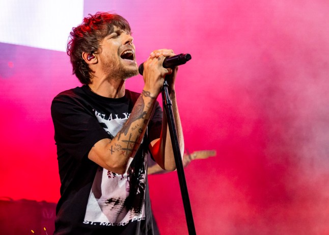 STERLING HEIGHTS, MICHIGAN - JUNE 02: Louis Tomlinson performs during his Faith In The Future World Tour 2023 at Michigan Lottery Amphitheatre on June 02, 2023 in Sterling Heights, Michigan. (Photo by Scott Legato/Getty Images)
