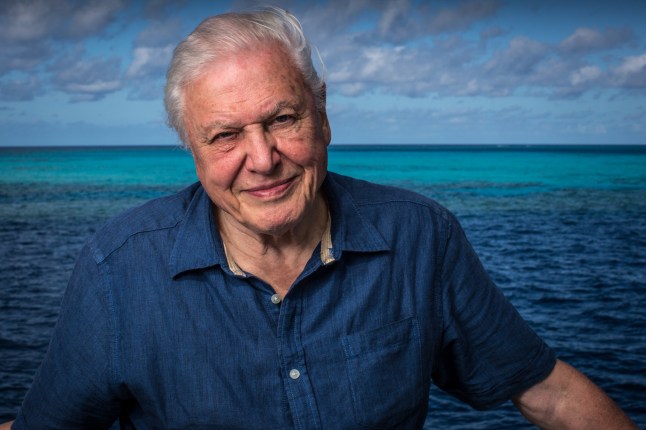 In his mid-eighties, Attenborough embarked for 7 years on a new era of natural history film making, revisiting iconic locations and using new technologies. From the depths of the Great Barrier Reef to the ancient rainforests of Borneo, this film follows his adventures across the globe.