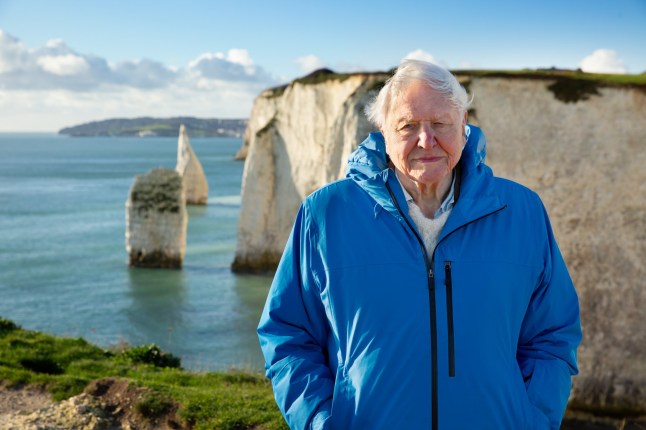 Sir David Attenborough standing on a cliff for new film Ocean