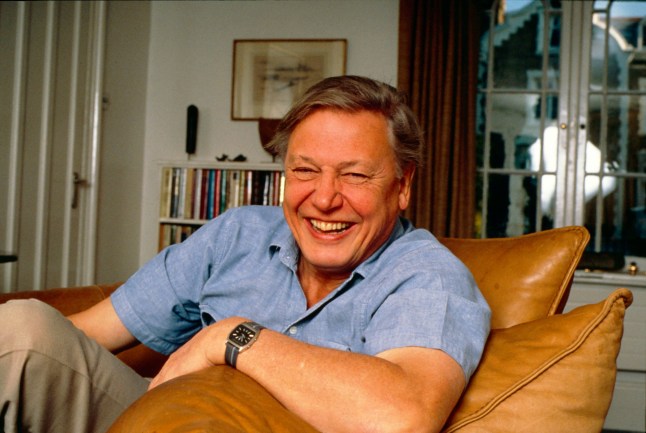 Mandatory Credit: Photo by REX/Shutterstock (176716a) Sir David Attenborough DAVID ATTENBOROUGH AT HOME - 1990