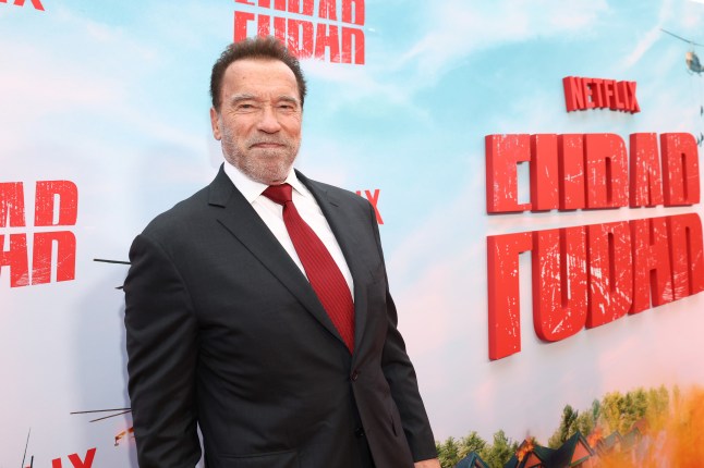 Netflix Premiere Of FUBAR