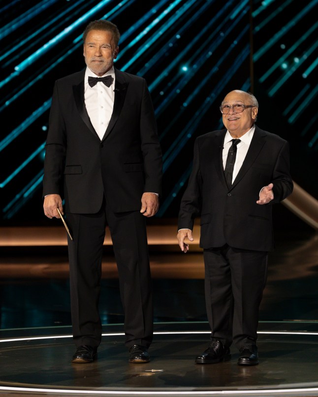 ARNOLD SCHWARZENEGGER, DANNY DEVITO