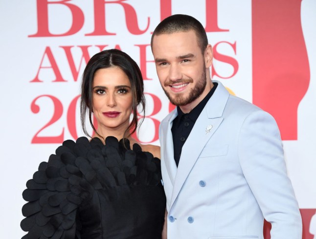 The BRIT Awards 2018 - Red Carpet Arrivals