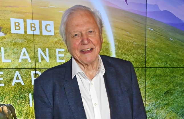 Sir David Attenborough in a white shirt and grey blazer standing in front of a Planet Earth III board