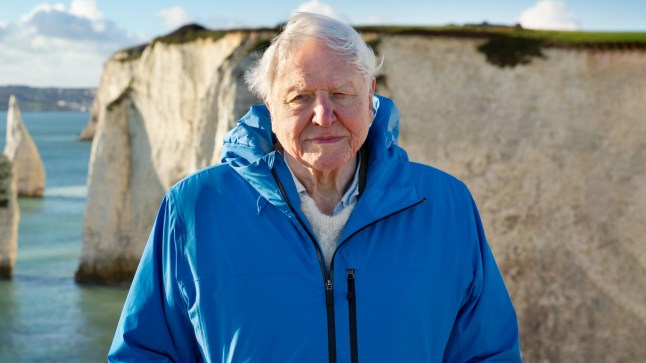 David Attenborough wearing a bright blue coat standing in front of white coastal cliffs