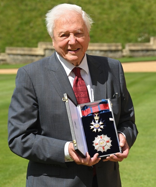 David Attenborough in a suit holding a medal